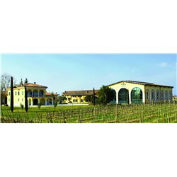 Rosa dei Frati Riviera del Garda Bresciano Doc  2022 Cà dei Frati