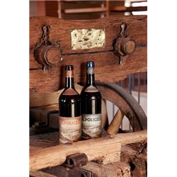 Amarone della Valpolicella Classico Docg Collezione Pruviniano 2020 - Domini Veneti 0,75 l