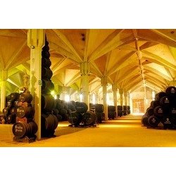 BRANDY 1877 SOLERA RESERVA  Bottle 0,70 l. - WILLIAMS & HUMBERT - m
