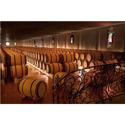 RHUM BLANC AGRICOLE “CANNE BLEUE” - 1 Flasche 0,70l. - CLÉMENT - mg