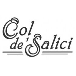 VALDOBBIADENE PROSECCO SUPERIORE DOCG EXTRA DRY - COL DE SALICI
