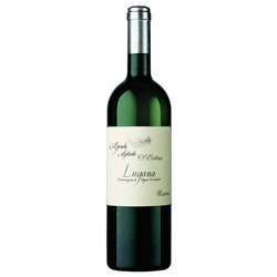 3-Bottle box White wine Lugana DOC Massoni S. Cristina ZENATO