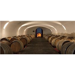 Weißwein 6-Flaschen-Packung Garda  Bellerive Bianco D.O.C. -Cantina Avanzi