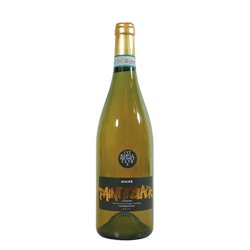 Confezione da 6 Bottiglie Vino bianco Chardonnay Langhe Società Agricola Socré -cz