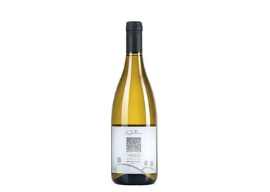 Confezione da 6 Bottiglie Vino Bianco Diaccio Maremma Cantina I Cavallini -cz