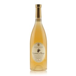 Liquore Gemme di Mugo alla Grappa 70cl 28% - Giovanni Poli Santa Massenza