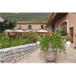 White Wine Piwi "Repanda" Solaris 2021 Roeno