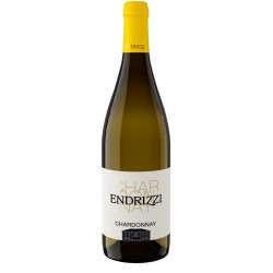 Weißwein Chardonnay Trentino Doc 2019  Weingut Endrizzi