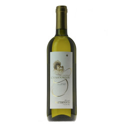 Chardonnay Vallagarina I.G.T. 2019  Battistotti