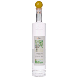 grappa di moscato valdavi berta distillerie 70 cl.