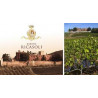 Barone Ricasoli Cantine