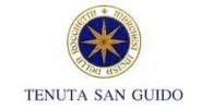 Tenuta San Guido az Vinicola